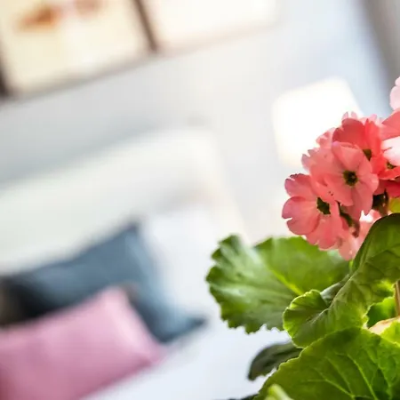 Isola Bella Apartments, Apartment Stresa
